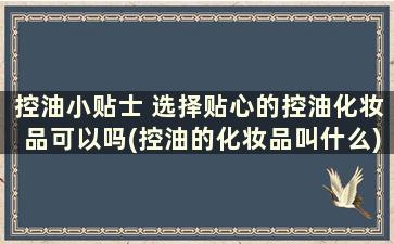 控油小贴士 选择贴心的控油化妆品可以吗(控油的化妆品叫什么)